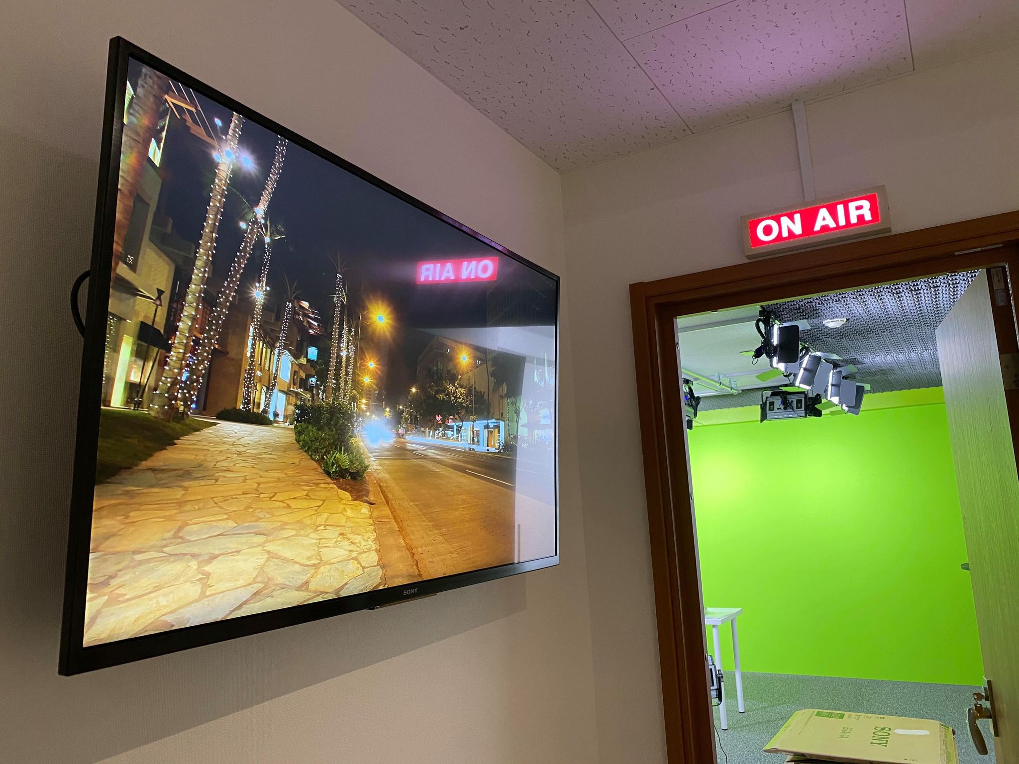 zoom　料金　配信　ウェビナー　代行　会社